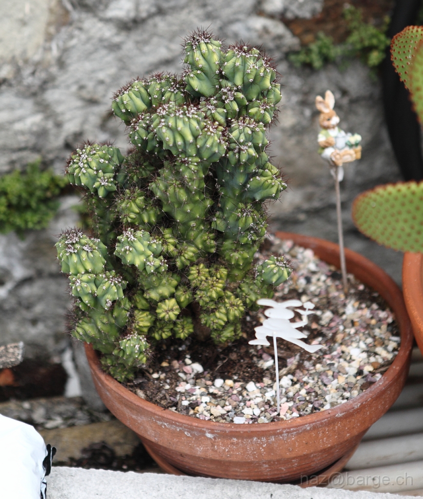 EOS 5D Mark II24_06_20122086.JPG